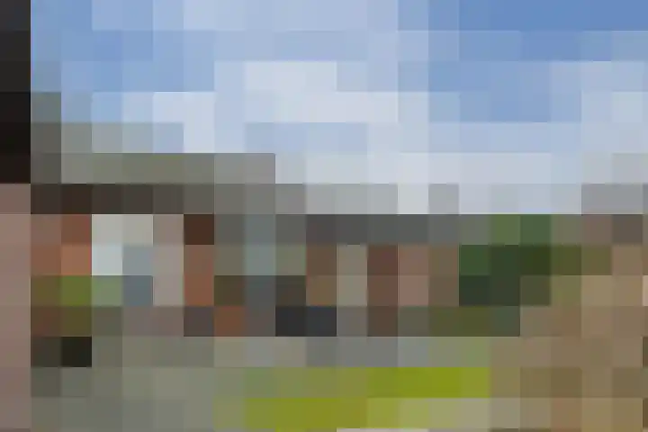 Plattepeeldijk 6 Ospel thumbnail 26