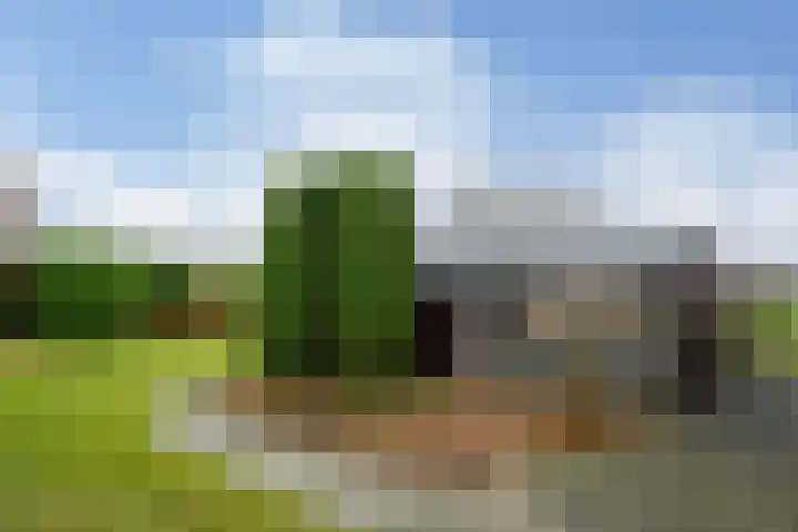 Plattepeeldijk 6 Ospel thumbnail 28
