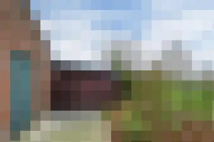 Plattepeeldijk 6 Ospel thumbnail 29