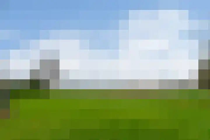 Plattepeeldijk 6 Ospel thumbnail 31