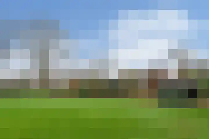 Plattepeeldijk 6 Ospel thumbnail 32