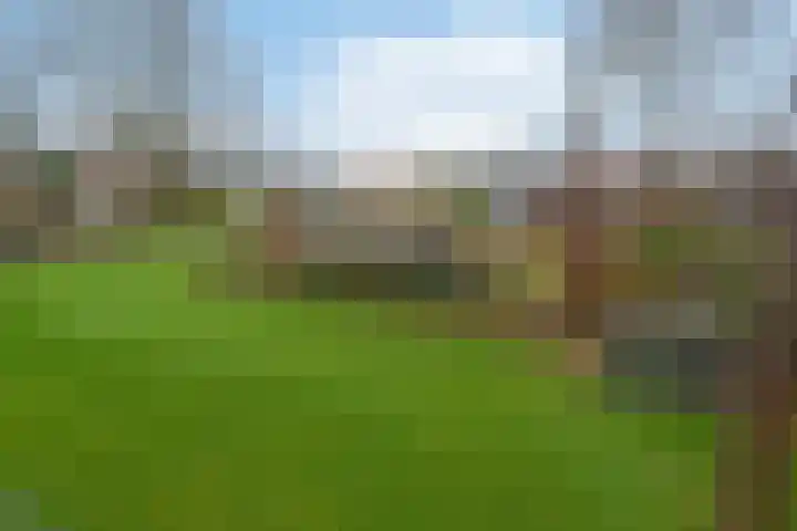 Plattepeeldijk 6 Ospel thumbnail 33