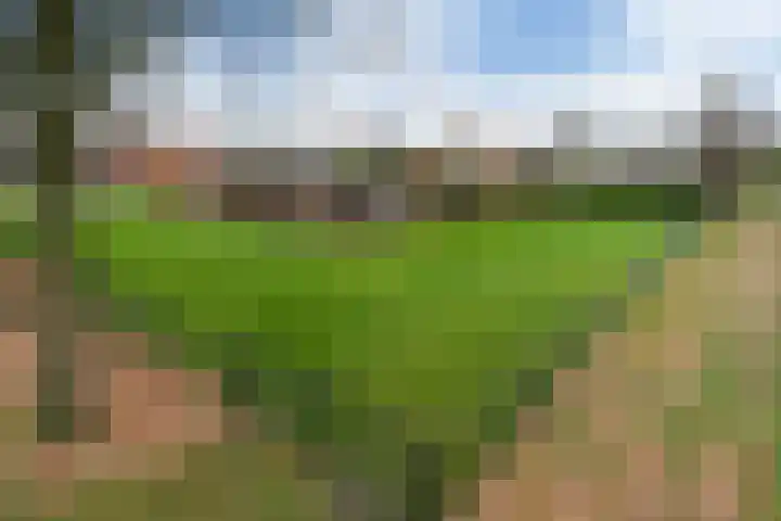 Plattepeeldijk 6 Ospel thumbnail 35