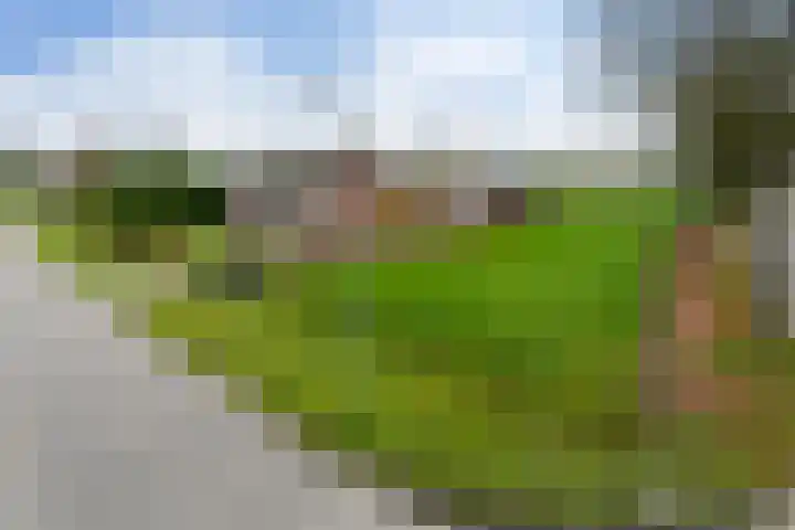 Plattepeeldijk 6 Ospel thumbnail 4