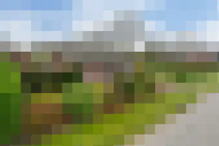 Plattepeeldijk 6 Ospel thumbnail 5