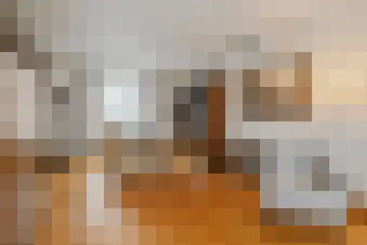 Plattepeeldijk 6 Ospel thumbnail 9