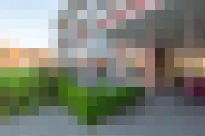 Platteven 109 Noord-Scharwoude thumbnail 25