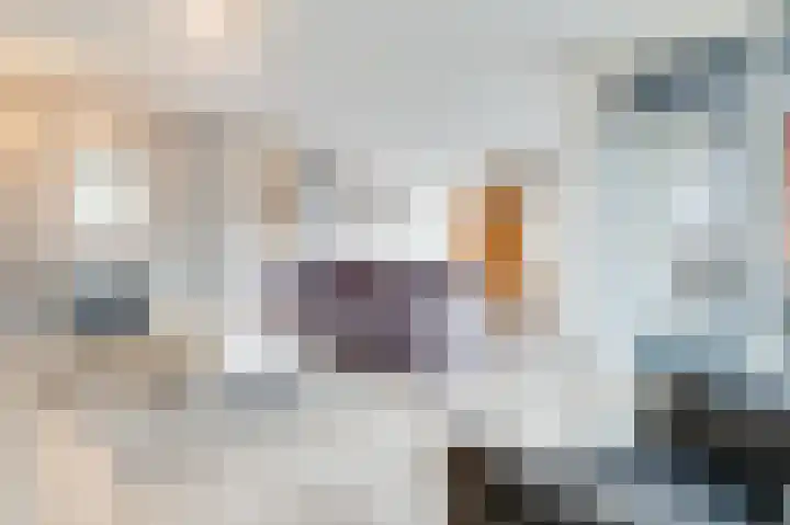 Platteven 2 Noord-Scharwoude thumbnail 10