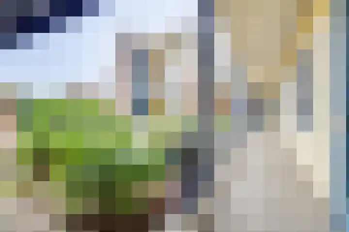 Platteven 2 Noord-Scharwoude thumbnail 25