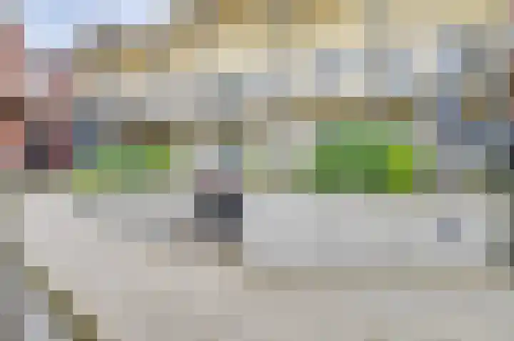 Platteven 2 Noord-Scharwoude thumbnail 28