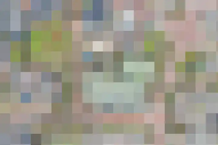 Platteven 2 Noord-Scharwoude thumbnail 31