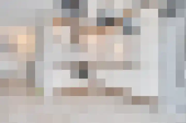 Platteven 2 Noord-Scharwoude thumbnail 6