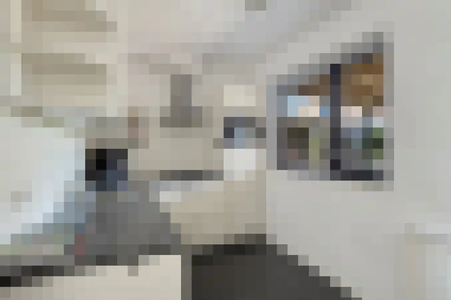 Platteweg 10 Oldemarkt thumbnail 10