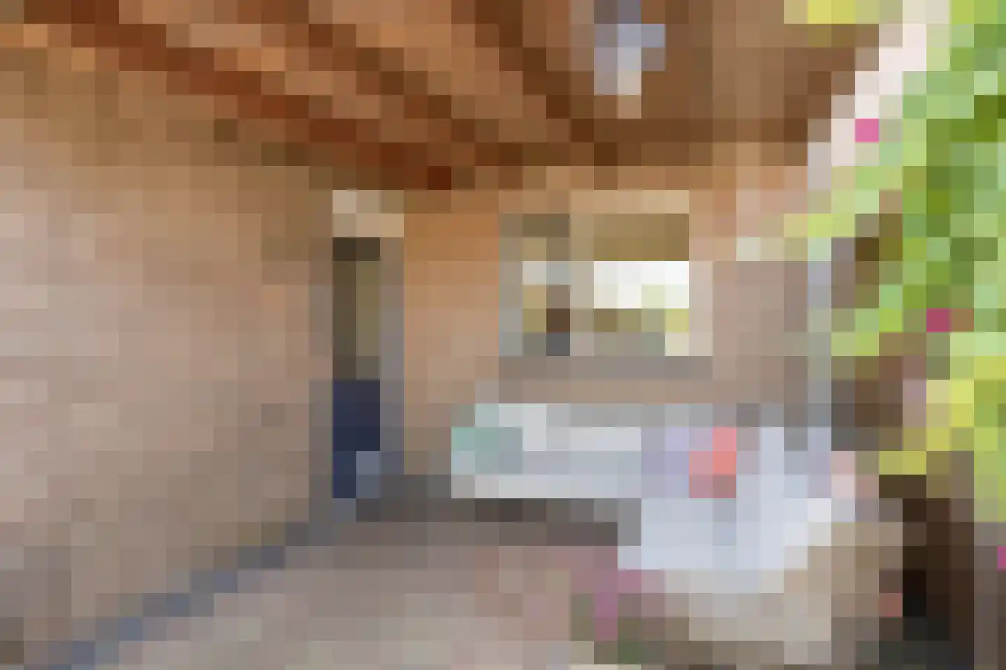 Platteweg 10 Oldemarkt thumbnail 27