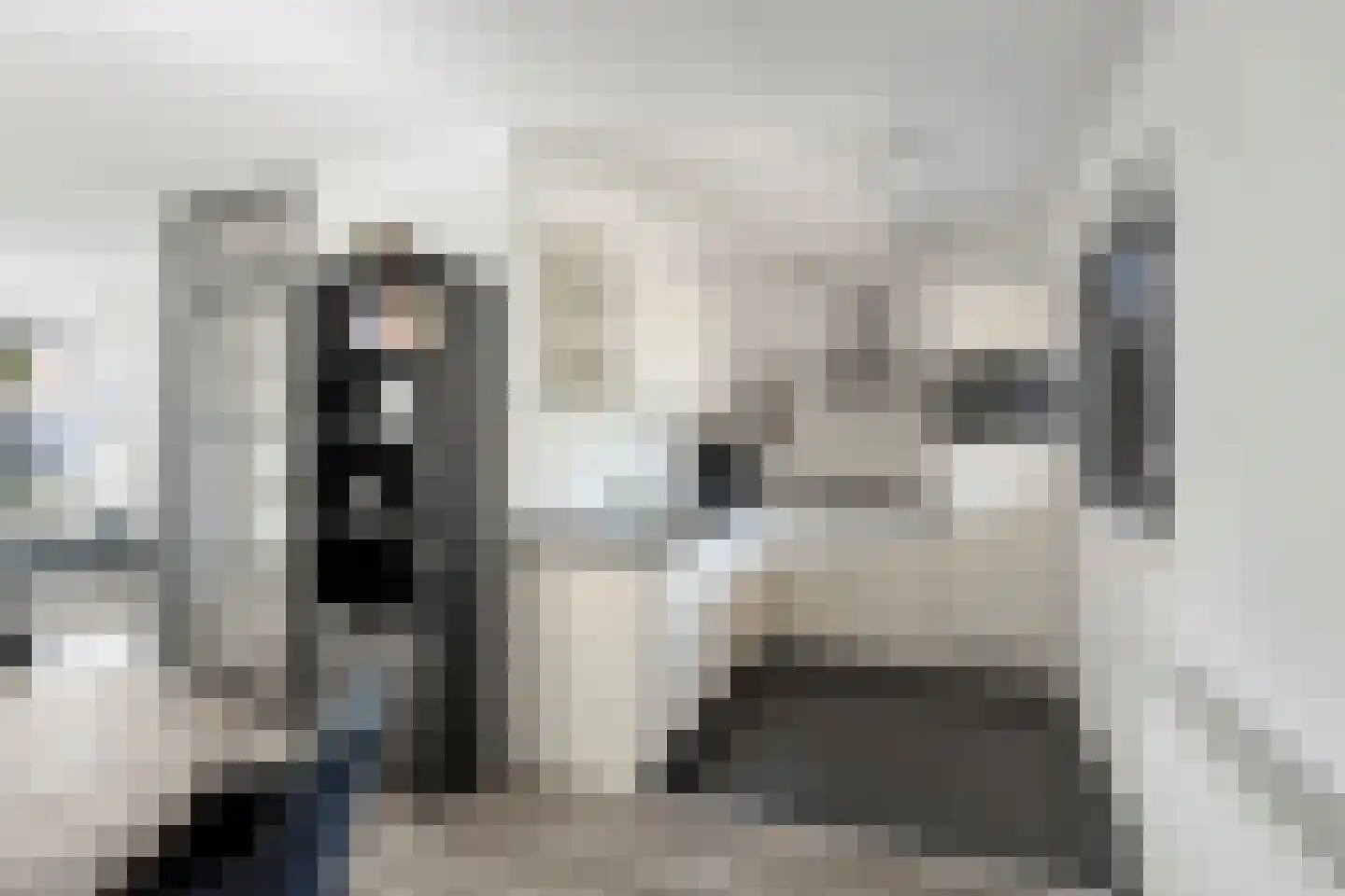 Platteweg 10 Oldemarkt thumbnail 9