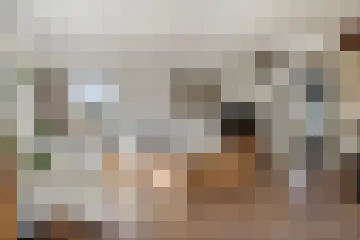 Platteweg 11 Breskens thumbnail 13