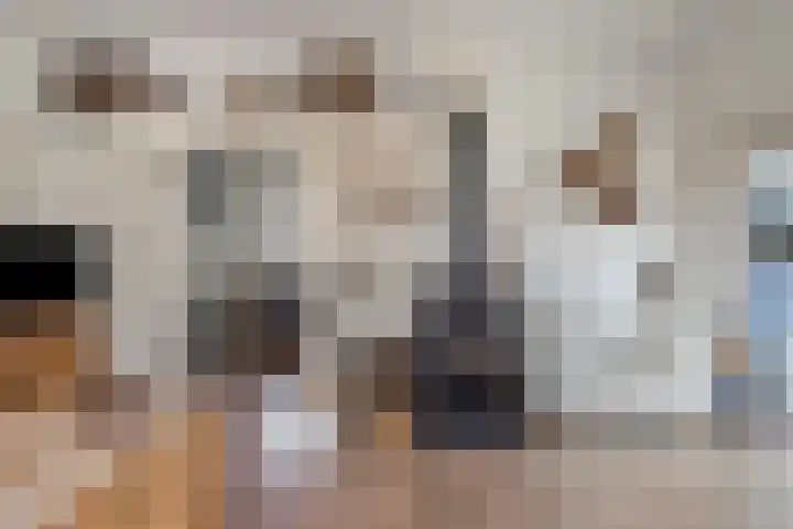 Platteweg 11 Breskens thumbnail 14
