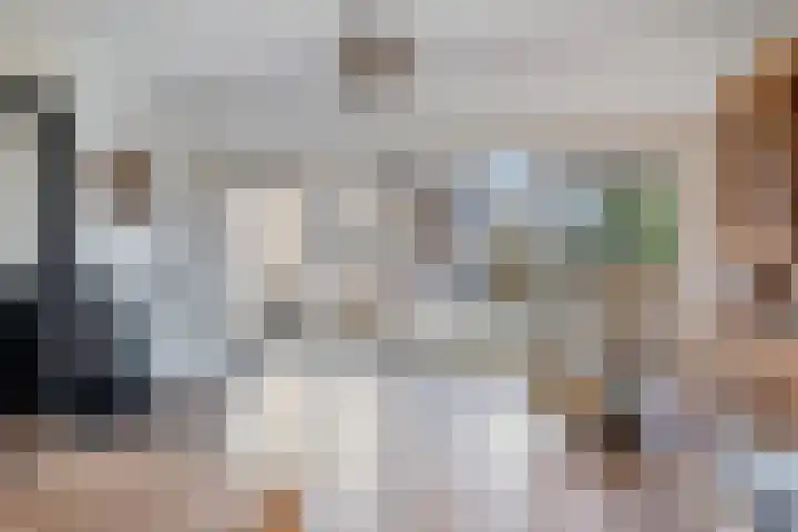 Platteweg 11 Breskens thumbnail 15