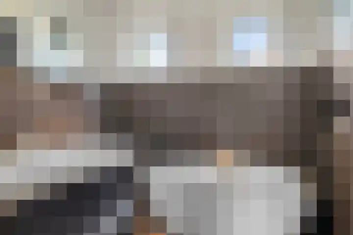 Platteweg 11 Breskens thumbnail 24