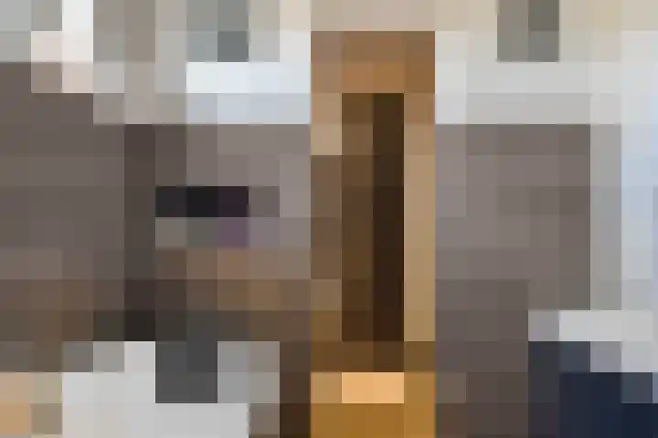 Platteweg 11 Breskens thumbnail 25