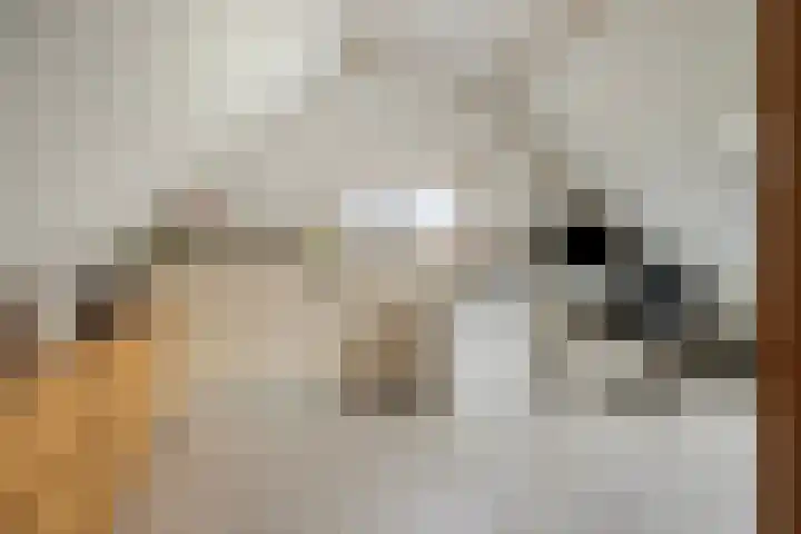 Platteweg 11 Breskens thumbnail 27