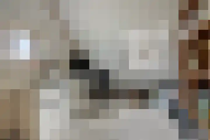 Platteweg 11 Breskens thumbnail 28