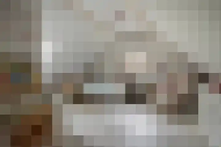 Platteweg 11 Breskens thumbnail 29