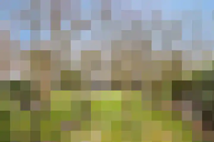 Platteweg 11 Breskens thumbnail 30