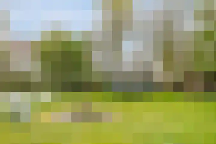 Platteweg 11 Breskens thumbnail 31