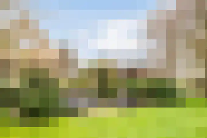 Platteweg 11 Breskens thumbnail 32