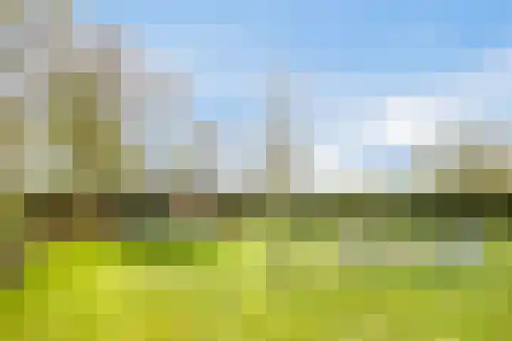 Platteweg 11 Breskens thumbnail 33