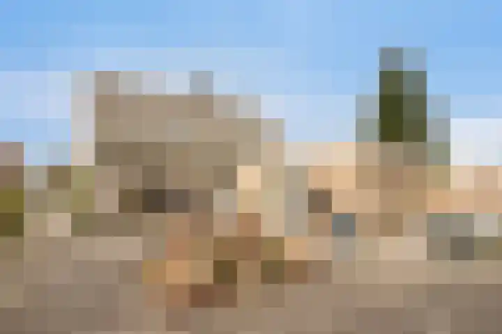 Platteweg 11 Breskens thumbnail 34