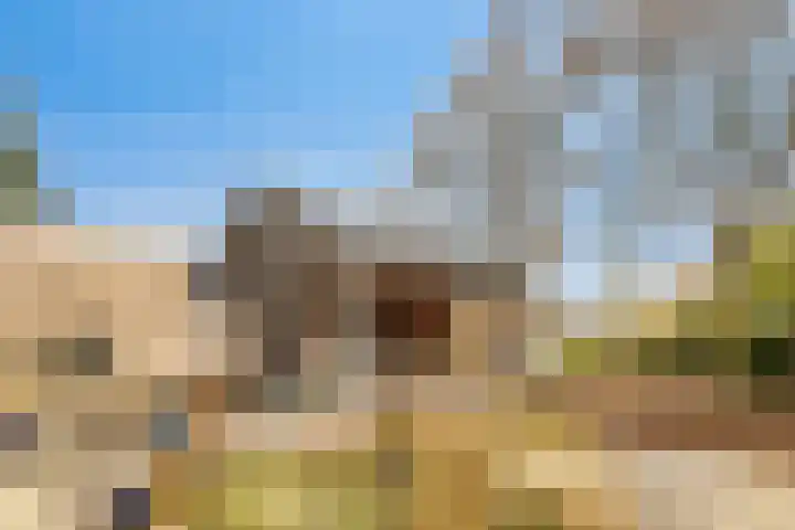 Platteweg 11 Breskens thumbnail 35