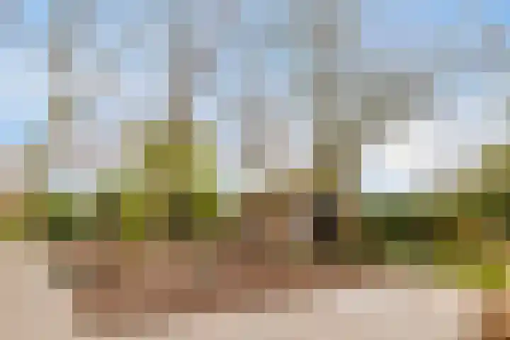 Platteweg 11 Breskens thumbnail 36