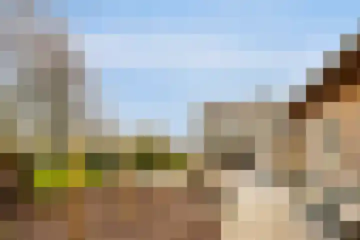 Platteweg 11 Breskens thumbnail 37