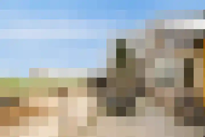Platteweg 11 Breskens thumbnail 38