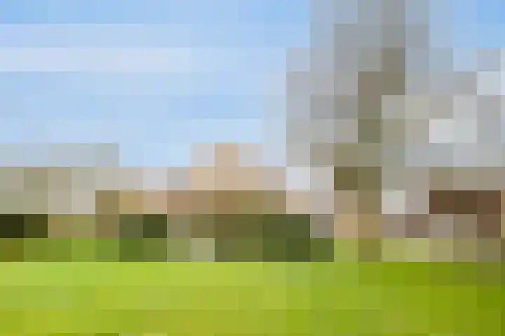 Platteweg 11 Breskens thumbnail 4