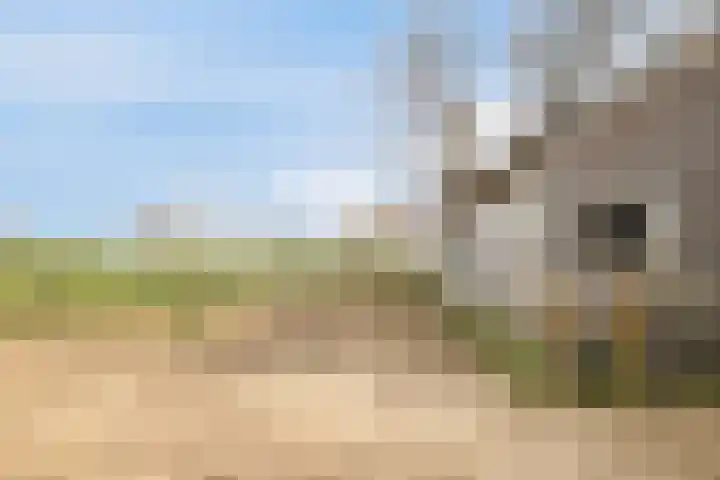 Platteweg 11 Breskens thumbnail 41