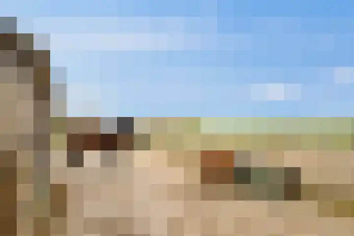 Platteweg 11 Breskens thumbnail 42