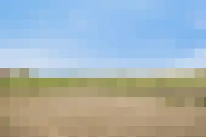 Platteweg 11 Breskens thumbnail 43