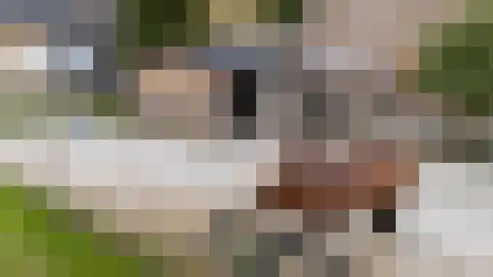 Platteweg 11 Breskens thumbnail 44