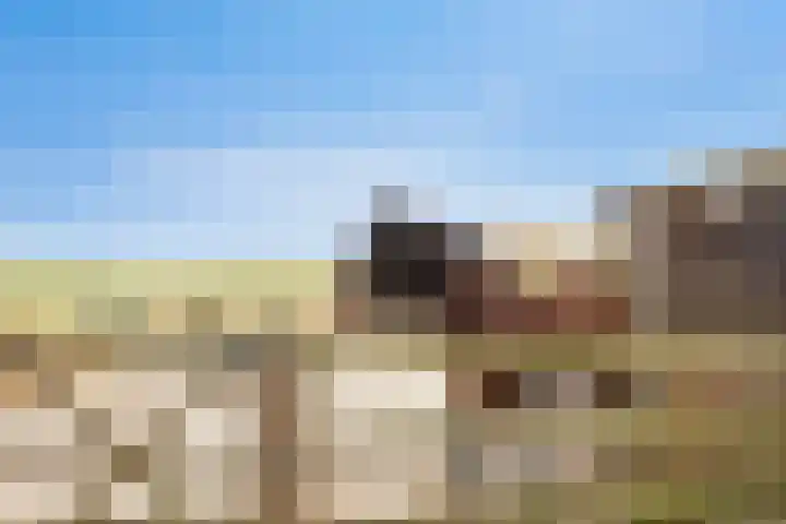 Platteweg 11 Breskens thumbnail 45