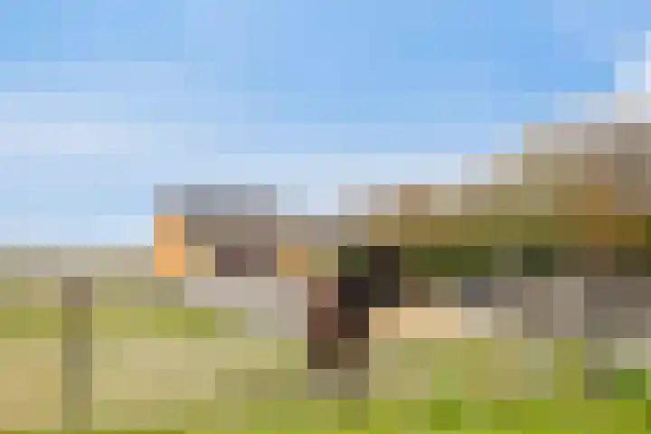 Platteweg 11 Breskens thumbnail 46
