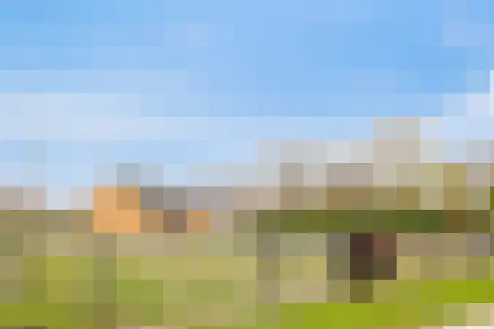 Platteweg 11 Breskens thumbnail 47