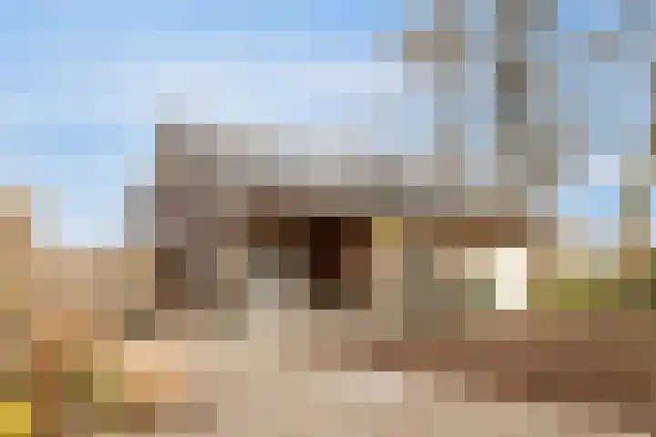 Platteweg 11 Breskens thumbnail 49