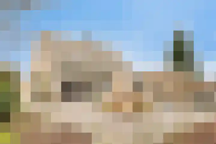 Platteweg 11 Breskens thumbnail 5