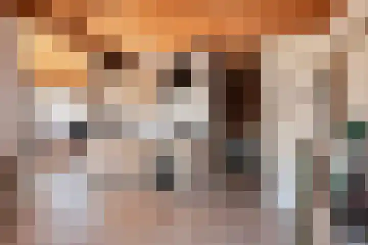 Platteweg 11 Breskens thumbnail 52