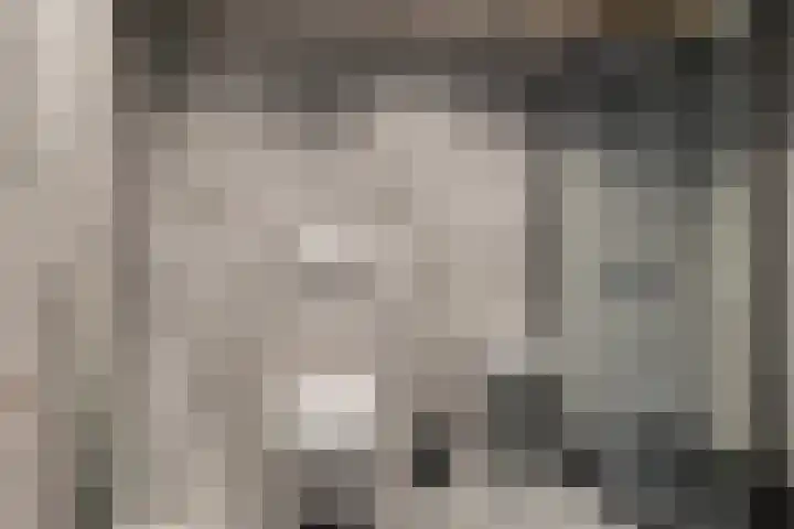 Platteweg 11 Breskens thumbnail 53