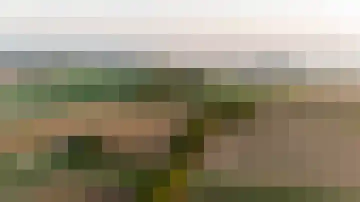 Platteweg 11 Breskens thumbnail 67