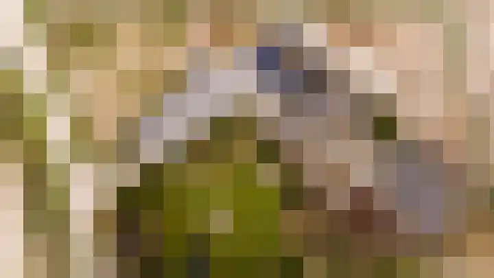 Platteweg 11 Breskens thumbnail 68